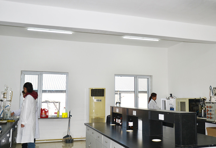 1663638388128006.jpg ysa.jpg